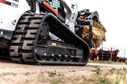 Bobcat Undies Bobcat Undies